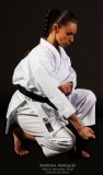 Karategi SHUREIDO NW III