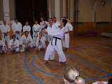 Pan Ogawa a M. Šefara