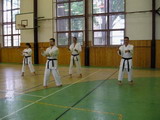 Goju-ryu s Braněm