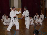 ukázky technik kumite
