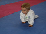 Průzkum tatami