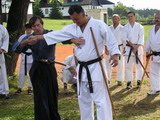 Vzorové hara