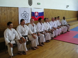 Hvězdná sestava komise - Magyár, Dado, Divinec, Ishiki, Kurashita, Klementis, Šebej, Klementisová, Poruben, Ayis