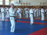 MUDr. Divinec, ing. Klementisová, Mr. Ishiki