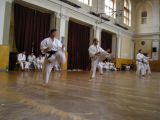 Mae geri