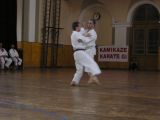 STV - jiu-kumite