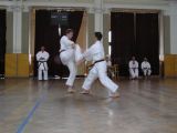 Uke-waza