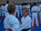 Okinawské kumite. Okinawské kumite.