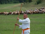 Střet z divou zvěří Střet z divou zvěří